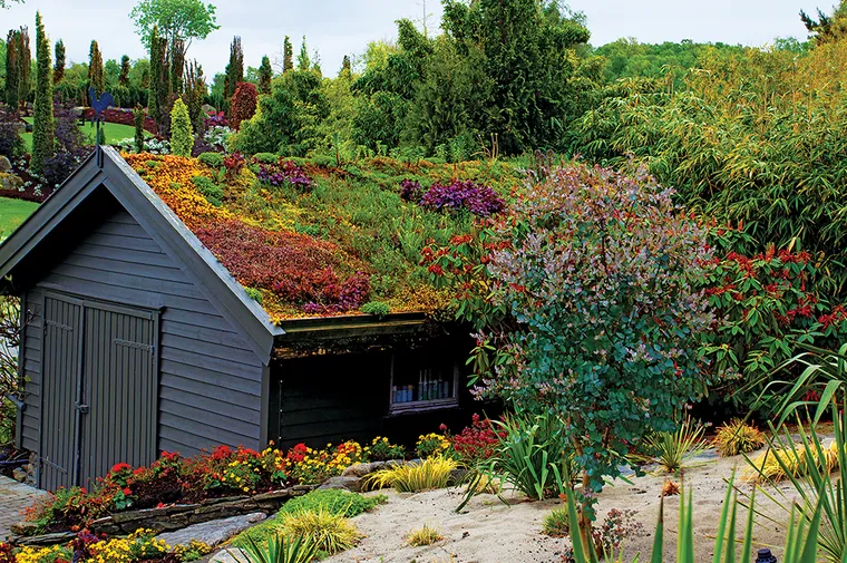 Green Roof Benefits Outpace Adoption