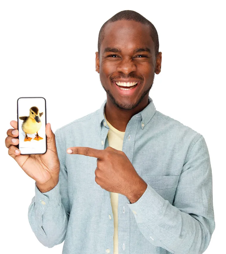 In On The Joke