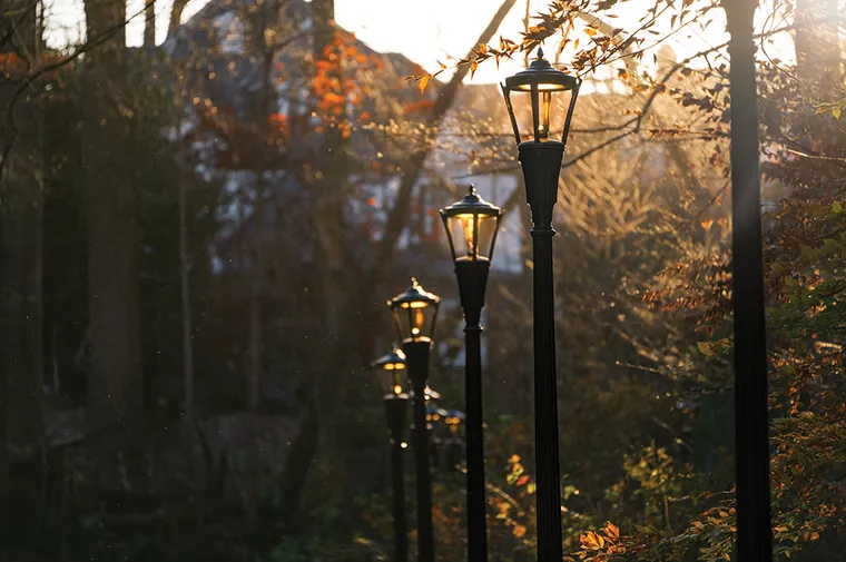 Lighting The Way