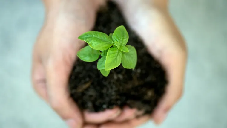 How Green Teams Drive Engagement, Action, and Lasting Change at Camp